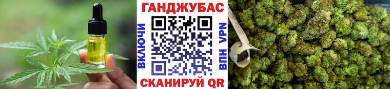 Cannafood конопля где можно купить Кирс