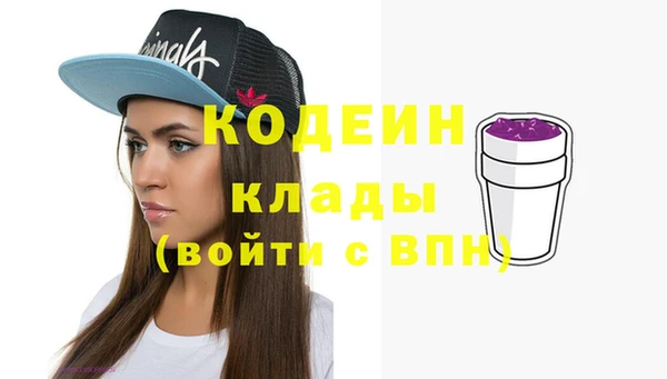 мдпв Бородино