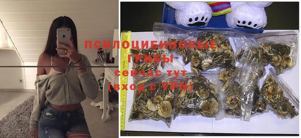 COCAINE Богданович