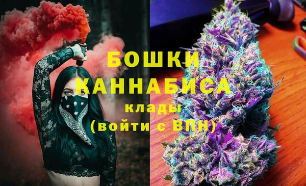 мдпв Бородино