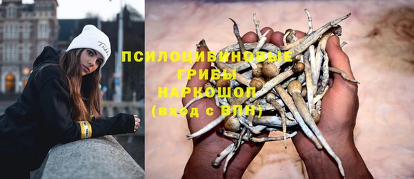 COCAINE Богданович