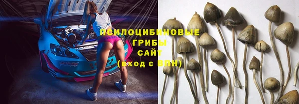 мяу мяу мука Бугульма