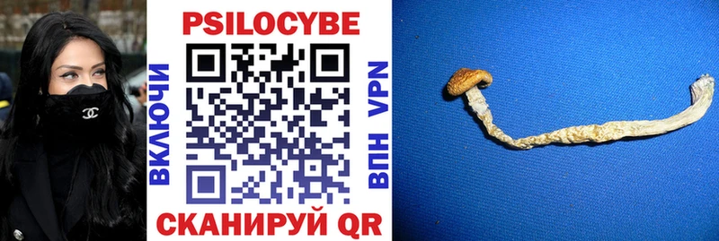 Псилоцибиновые грибы мицелий Кирс